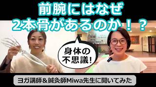 【身体の不思議】前腕にはなぜ2本骨があるのか！？：ヨガ講師＆鍼灸師：Miwa先生に聞いてみた