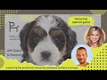 PL&H with Sasha & Shannon Ep. 7 - Puppy Love - Building a Harmonious Pack with Special Guest Alex