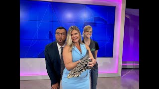 Emily from Snake Discovery returns with all new snakes & reptiles
