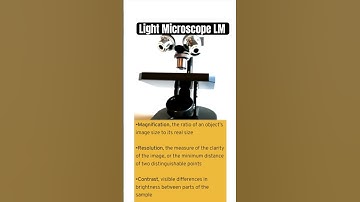 Light Microscopes 🔬 101: what does compound mean? #biology #science see full lecture!
