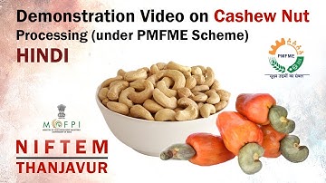 Demonstration Video on Cashew Nut Processing (under PMFME Scheme) - HINDI