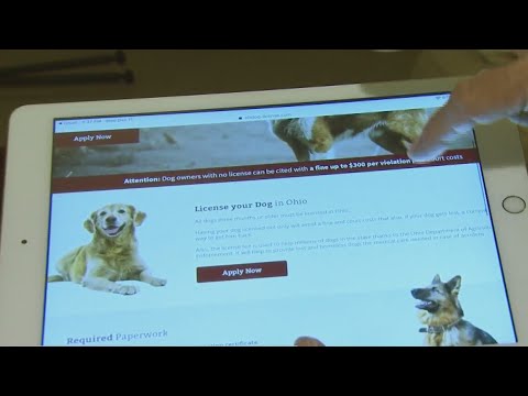 Dog License Lake County Ohio