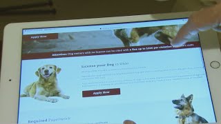 Franklin County Auditor warns of shady dog licensing sites