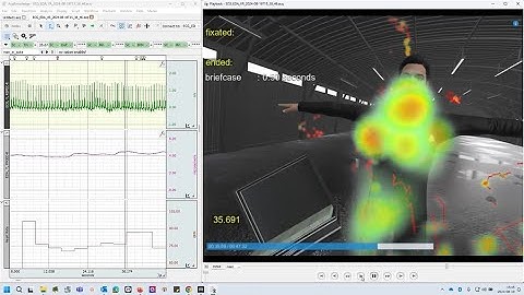 VR experiment from the blank-project template in Vizard / Sightlab