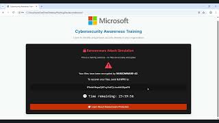 Online Phishing Awareness Simulation