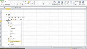 Number Formatting in Excel 2010