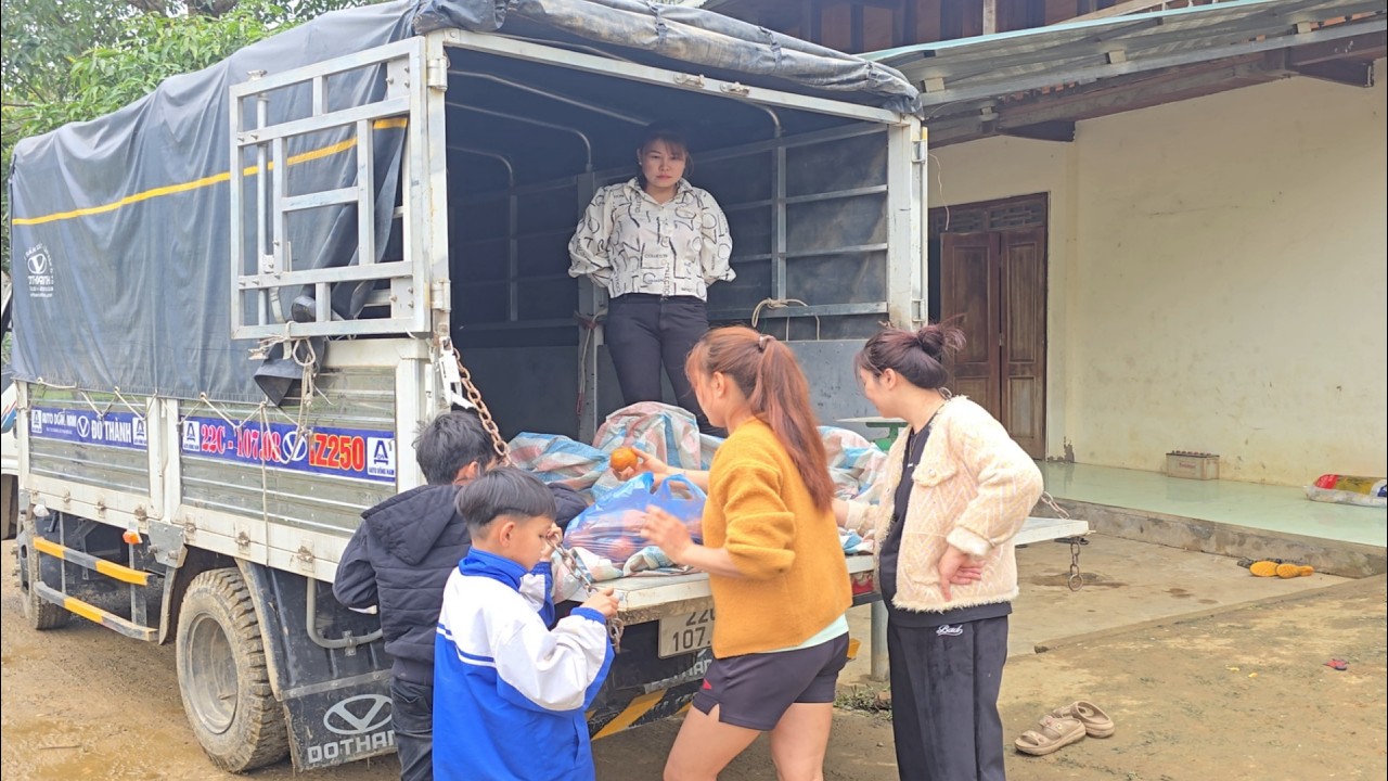 CôThe girl harvested the fruit and took it to sell.