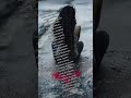"ΓΥΝΑΊΚΑ" PaKeL (Official Audio)”.             Στοίχοι &amp; Μουσική.  PakelDj 