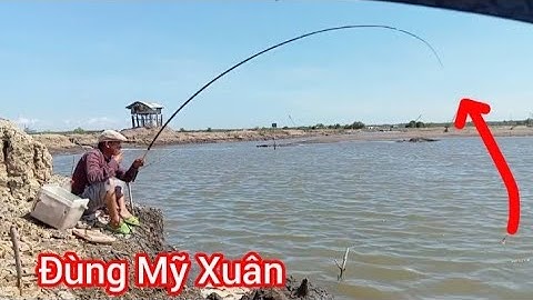 Câu cá Ngát và Bống Đục Đầu mùa với cần thủ Long Hải vũng tàu @Dammecauca1