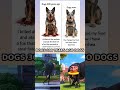 DOGS 300 YEARS AGO DOGS