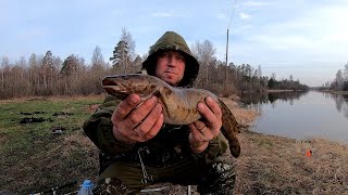 Открытие сезона!!!Рыбалка на живца с ночёвкой!!!