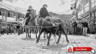 Video thumbnail of "La carcel - Los Chavos de Pillaro"