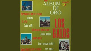Video thumbnail of "Los Galos - El O Yo"