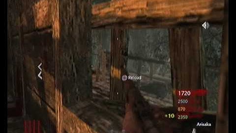 CoD5 Shi No Numa MADNESS!! part 1