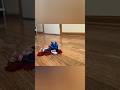 Sonic spills his strawberry jelly 🍓
