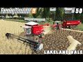 First harvest on new farm, picking up straw for forage | Lakeland Vale 3 | FS 19 | Timelapse #50