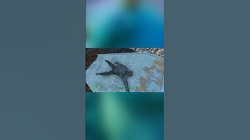 Hydro: Codsworth The Complainer Of Fallout