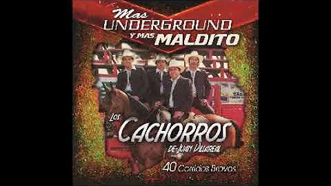 Los Cachorros De Juan Villarreal - 40 Corridos Bra...