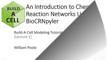 Lecture 1: Chemical Reaction Network Models Part 2