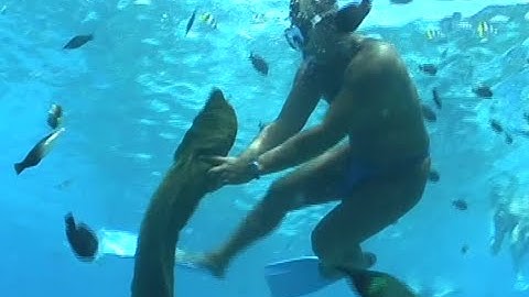 Underwater Videography - South Pacific - Samuel Ravatua-Smith