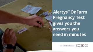 IDEXX Alertys OnFarm Pregnancy Test
