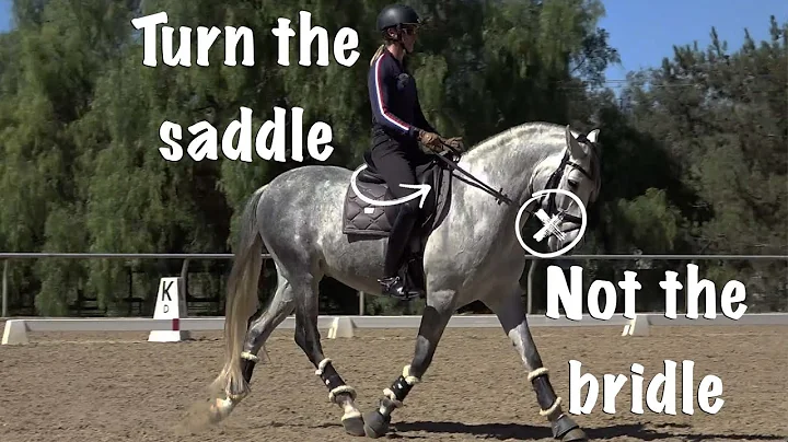 Turn the Saddle not the Bridle