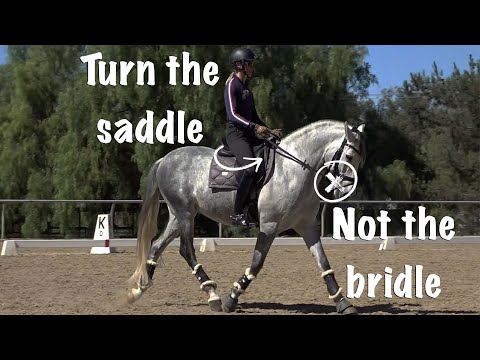 Video: Masalah Kuda: Bridle Lame