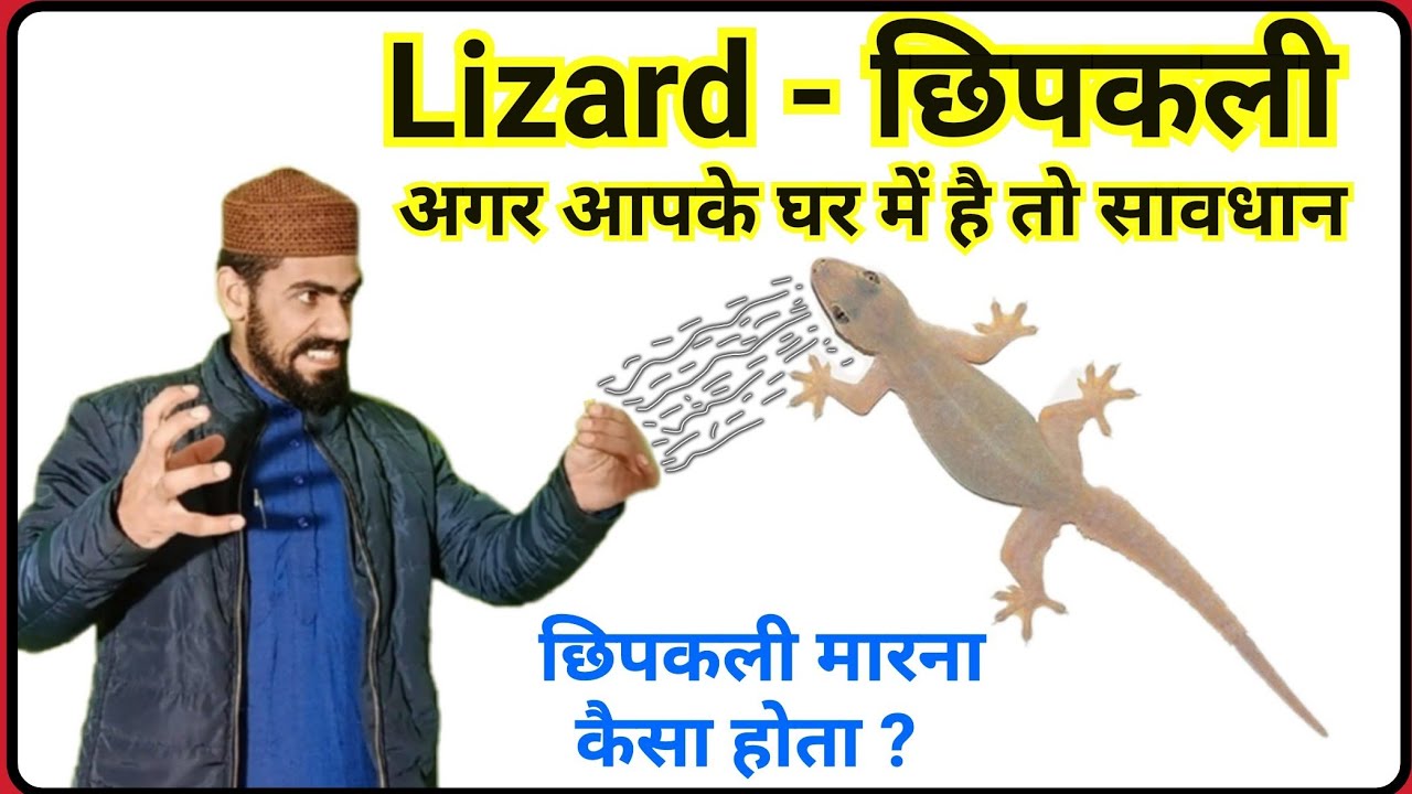 If there is a lizard in your house then do this work in the next 3 seconds How to kill a lizard Live Wazifa