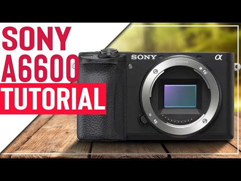 Sony a6600 Tutorial