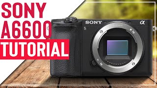 Sony a6600 Tutorial | How To Setup Your Camera