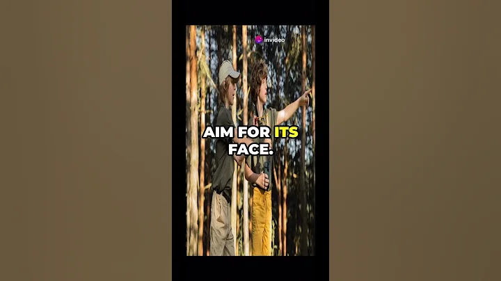 How to avoid conflicts with a mountain lion 🦁 #lion #attack #howtosurvive #tips #interestingfacts