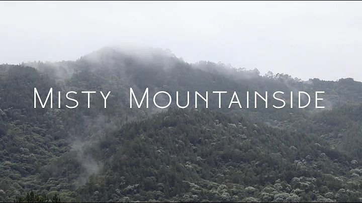 Misty Mountainside - 8 hours of gentle rolling fog...