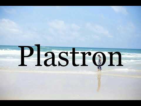plastron - Wiktionary, the free dictionary