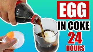 Egg In Coke For 24 Hours Experiment