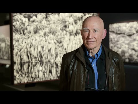 Sebastião Salgado et Jean-Michel Jarre défendent l'Amazonie à la Philharmonie • FRANCE 24