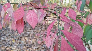 картинка: Очень нравится режим Работы - с 7 утра до 1 часу дня, Интересные Коллеги, Классный Менеджер,Спокойно