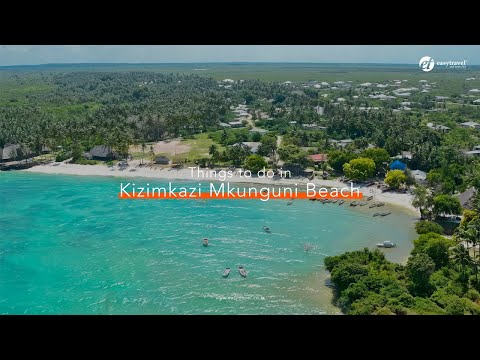 Things to do in Kizimkazi Mkunguni Beach. #unforgettable #tanzania