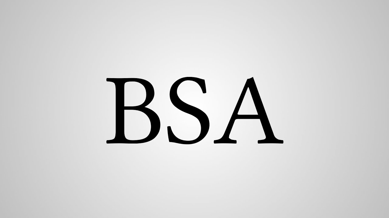 What Does BSA Stand For YouTube What Does BSA Stand For YouTube