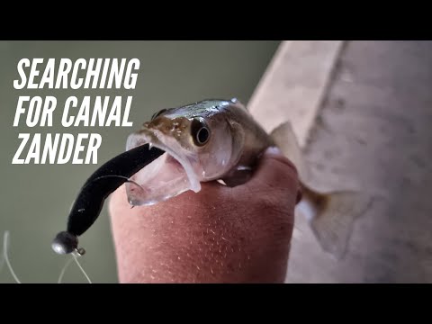 Searching For Canal