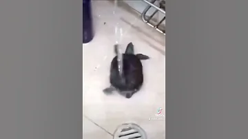 اتمني احمد محسن يتخطى I Hope Ahmed Mohsen Skips Funnyvideo Meme Fyp Foryou ضحك ميمز العرب 