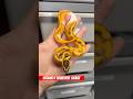 Baby Snake !! #reptiles #cuteanimals #snake #shorts