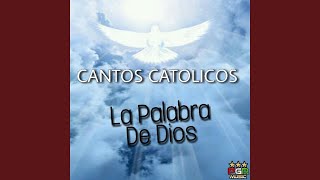 Video thumbnail of "Cantos catolicos - Vine Alabar a Dios"