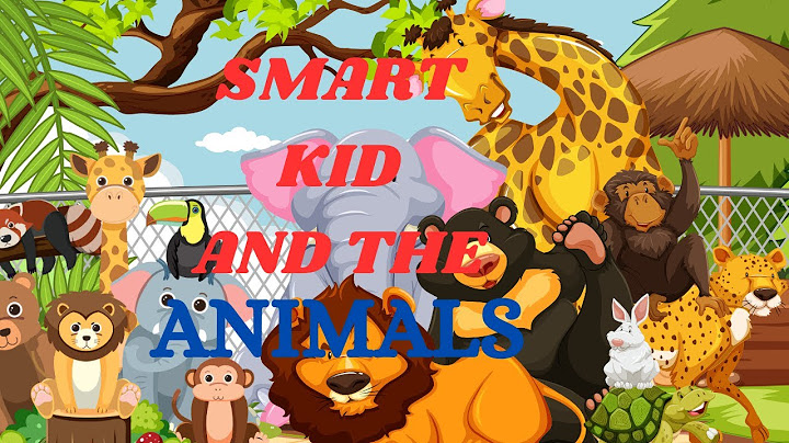 Discover 5 Amazing Animals with Mia! 🦒🐬🐸🐧🐘