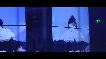 Biborg Lab - INFRA Anti-Selfie