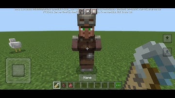 can /kill name tag kill mobs