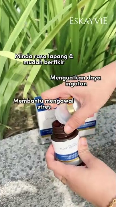 Mindtropic Terbaik