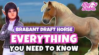 Brabant Draft Horse 🐴 All Coats, Gaits, Price & Special Moves