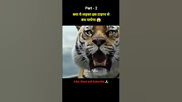 Life of pie movie explained in hindi part 2 😱 #shorts #viral #movie