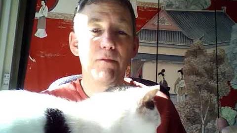 Funnel Hacking Live Notes