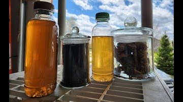 Unlocking Plant Growth: The Science Behind Worm Castings & Compost Tea | Light of the Soil, LLC